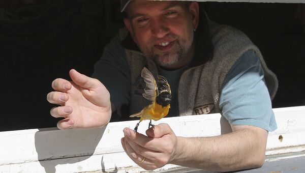 Орнитолог выпускает птицу после ее окольцевания
