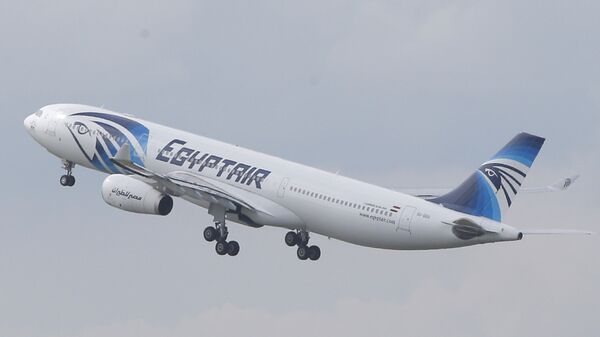 Самолет авиакомпании EgyptAir. Архивное фото