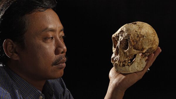 Карликовый череп найденный на острове Флорес в Индонезии