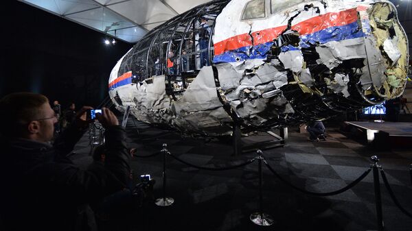 Доклад Совета безопасности Нидерландов по причинам крушения Boeing 777 Malaysia Airlines