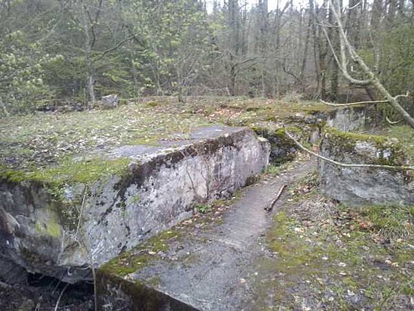 Бывший немецкий бункер в польских Мамерках, где предположительно может быть обнаружена Янтарная комната Бывший немецкий бункер в польских Мамерках, где предположительно может быть обнаружена Янтарная комната