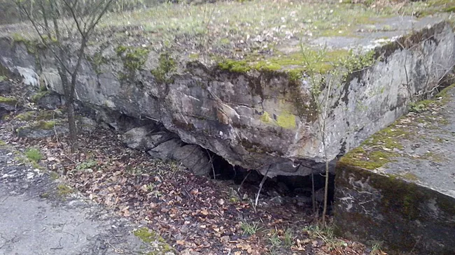 Бывший немецкий бункер в польских Мамерках, где предположительно может быть обнаружена Янтарная комната
