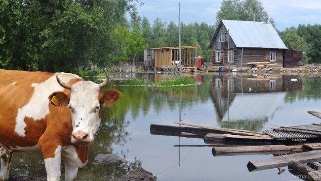 Паводок в пригороде Барнуала