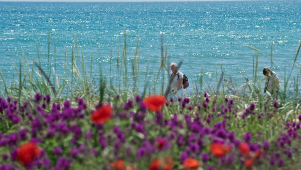 Берег Черного моря с цветущими маками в поселке Береговое под Феодосией. Архивное фото