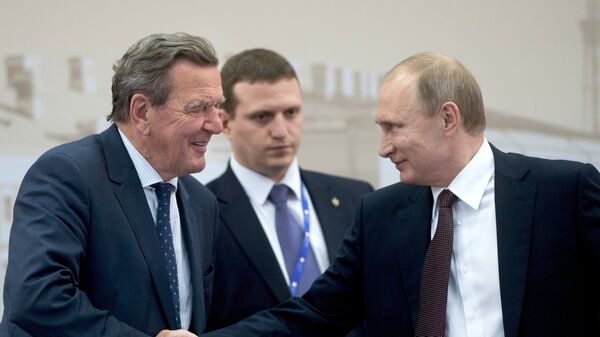 17 июня 2016. Президент России Владимир Путин (справа) и экс-канцлер ФРГ Герхард Шредер. Архивное фото