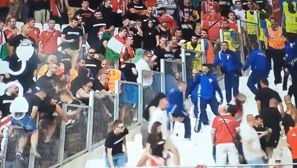 Болельщики подрались на стадионе перед матчем Венгрия – Исландия. ВИДЕО