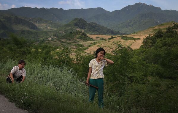Девушки срезают траву в провинции Северный Хванхэ, Северная Корея