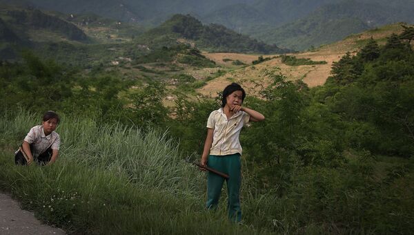 Девушки срезают траву в провинции Северный Хванхэ, Северная Корея