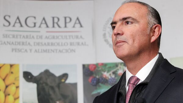 Министр сельского хозяйства Мексики Хосе Кальсада Ровироса