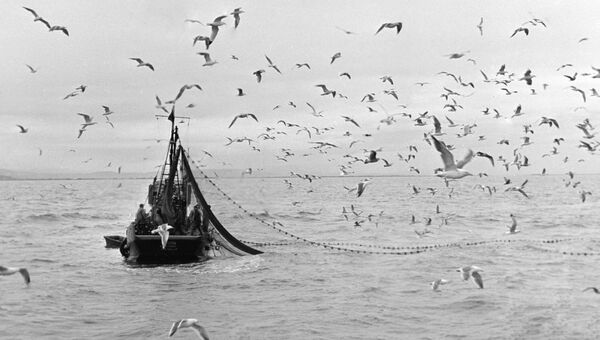 Рыбацкий сейнер в Олюторском заливе