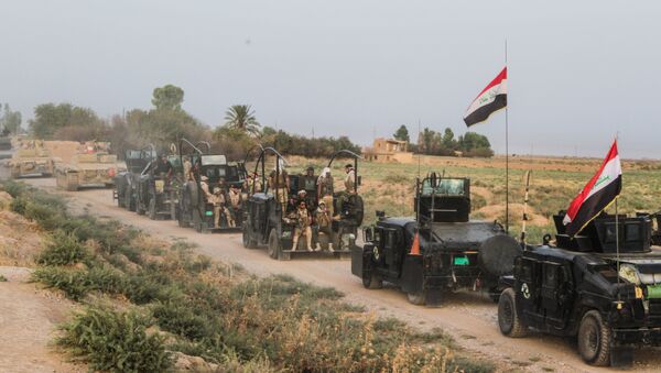 Иракская армия возле Эль-Фаллуджи. Архивное фото