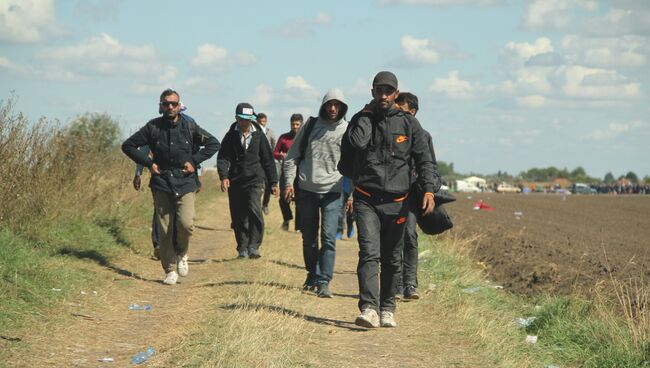 Беженцы на границе Сербии и Венгрии в районе поселка Реске. Архивное фото