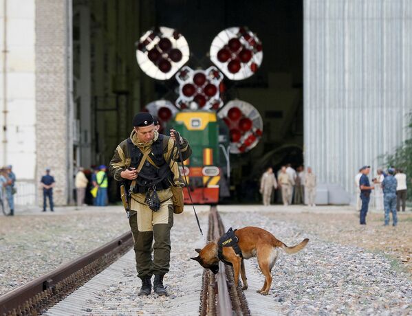 Сотрудник полиции со служебной собакой во время транспортировки ракеты-носителя Союз- ФГ с пилотируемым кораблем Союз-МС на стартовую площадку космодрома Байконур