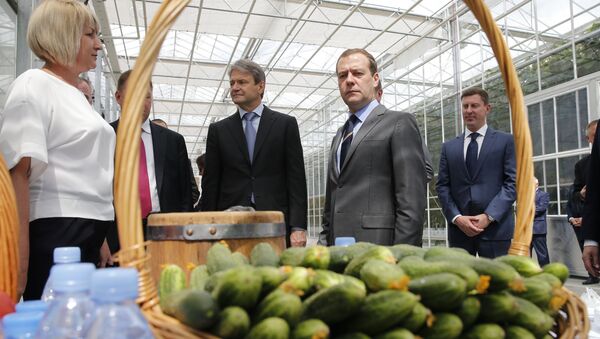 Дмитрий Медведев во время посещения сельскохозяйственного предприятия Матвеевское