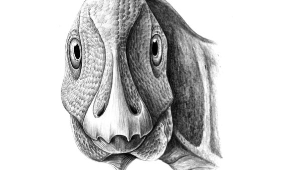Лицо гадрозавра, обезображенное опухолью