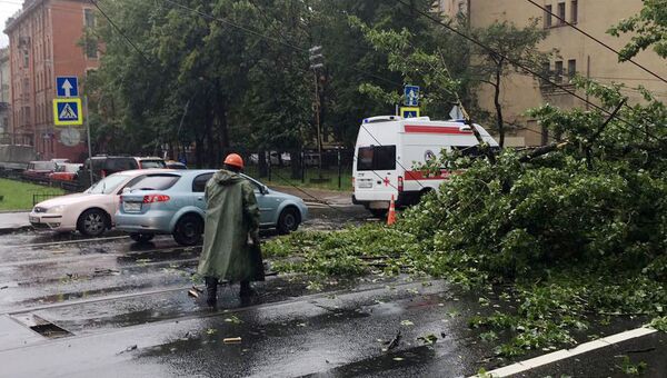 Последствия шторма в Санкт-Петербурге