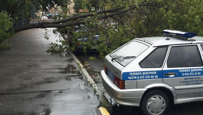 Последствия шторма в Санкт-Петербурге