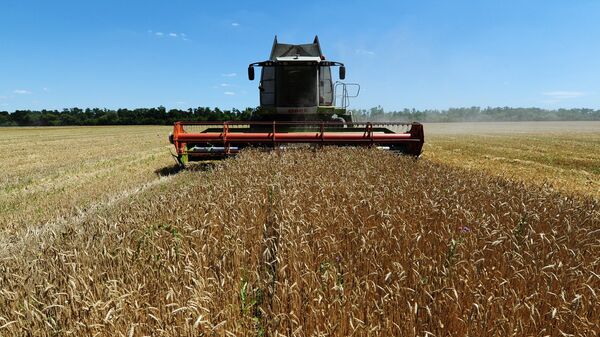 Уборка пшеницы в Ростовской области. Архивное фото