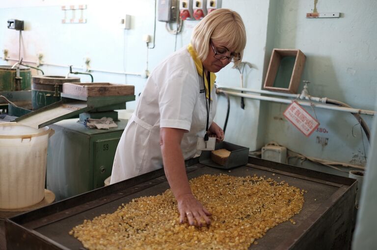 Обработка янтаря на заводе Янтарный ювелирпром Обработка янтаря на заводе Янтарный ювелирпром