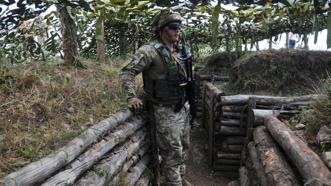 Украинский военный. Архивное фото