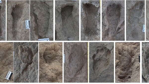 Следы прямоходящих людей, оставленные в почве Кении 1,5 миллиона лет назад