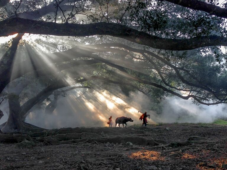 Снимок Travel фотографа Fugen Xiao на конкурсе iPhone Photography Award 2016