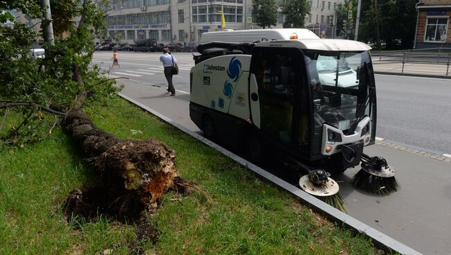 Последствия урагана в Москве