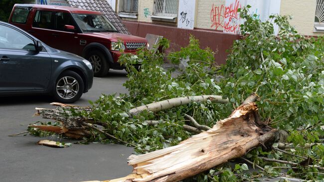 Последствия урагана в Москве. Архивное фото