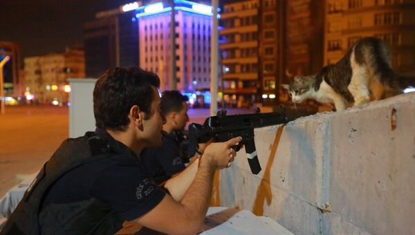 Кошка и вооруженные сотрудники полиции в Стамбуле, Турция
