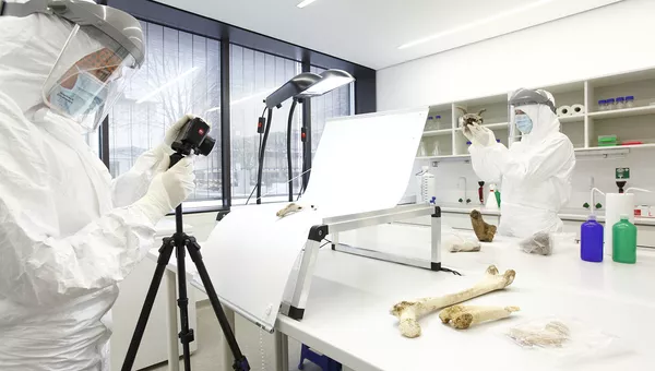 Ученые извлекают образец ДНК в лаборатории университета Майнца