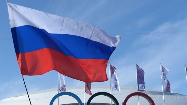 Болельщики с российским флагом в Олимпийском парке Сочи. Архивное фото
