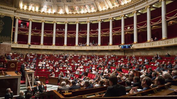 Депутаты во время заседания Национальной ассамблеи в Париже, где 19 июля 2016 года приняли законопроект о продлении применения закона № 55-385 от 3 апреля 1955 года в отношении чрезвычайного положения на шесть месяцев