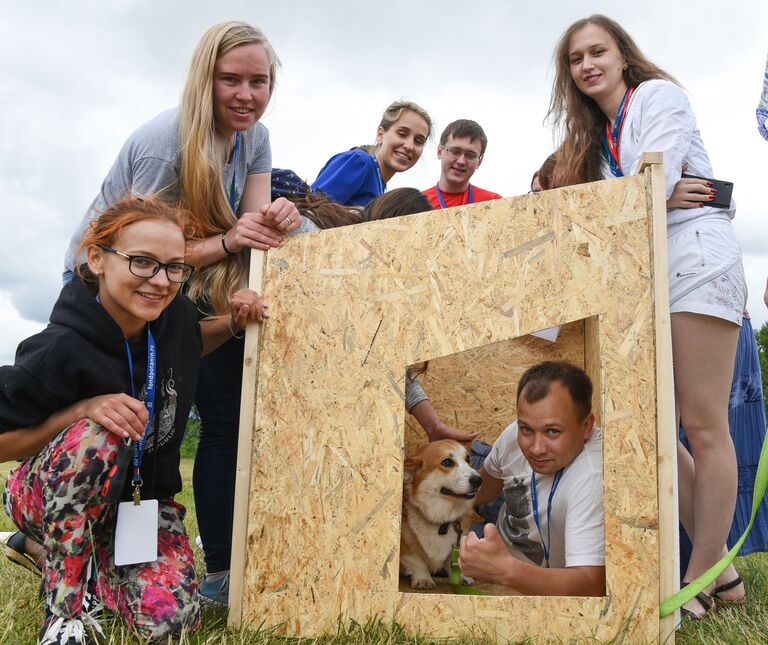 Корги Чака и студенты Школы тестируют будки, построенные для петербургского приюта Верность