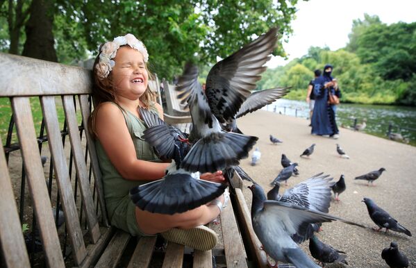 Девочка кормит голубей в парке Лондона