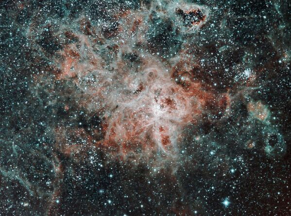 Снимок The Tarantula Nebula фотографа Scott Carnie-Bronca на конкурсе фотографий ночного неба 2016 CWAS AstroFest The David Malin Awards