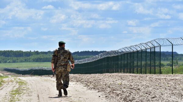 Украинский пограничник на участке российско-украинской границы. Архивное фото