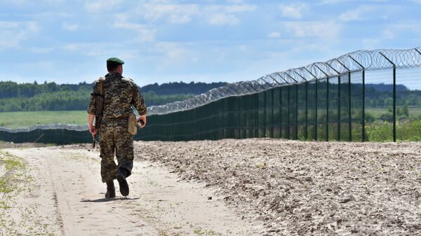 Украинский пограничник на участке российско-украинской границы
