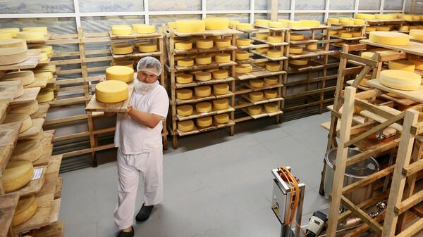 Производство сыра. Архивное фото
