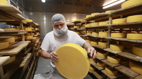 Производство сыра в Истринском районе Подмосковья