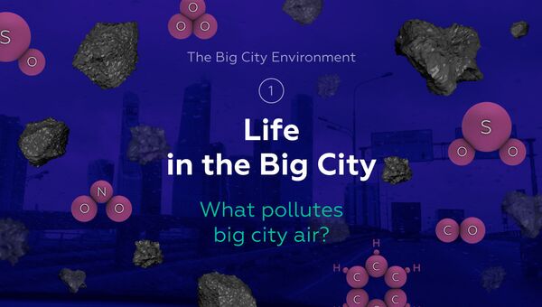 Big city environment: air pollutions and more