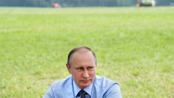 Владимир Путин во время посещения агрофирмы Дмитрова Гора в Тверской области. 28 июля 2016