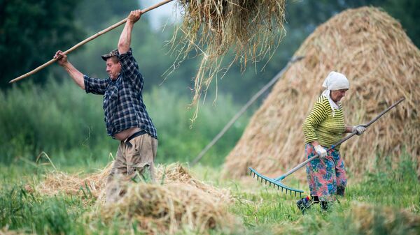 Жители деревни Бобровка Омской области во время заготовки сена