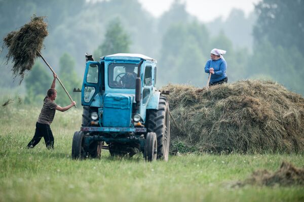 Жители деревни Баженово Омской области во время заготовки сена