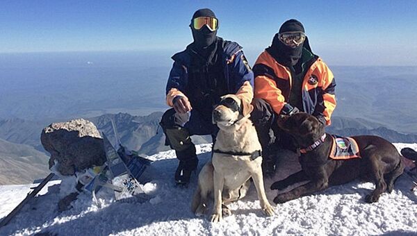 Спасатели Эльбрусского высокогорного поисково-спасательного отряда МЧС с собаками на горе Эльбрус. Архивное фото