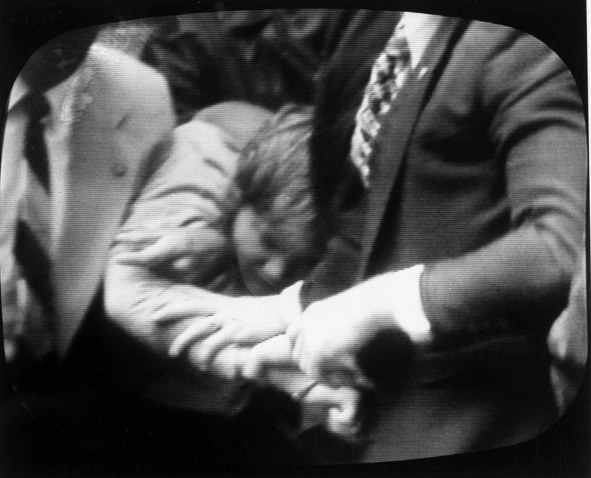 Задержание Джона Хинкли-младшего после его попытки покушения на президента Рональда Рейнана - РИА Новости, 1920, 13.10.2020