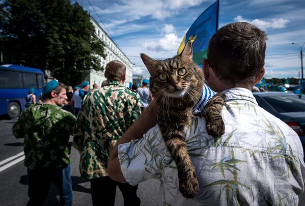 Кот на руках у мужчины во время празднования дня ВДВ в Санкт-Петербурге