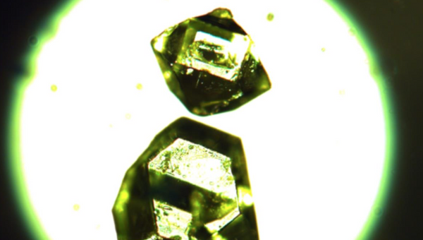 Кристаллы жемчужниковита, металл-органического вещества, найденного в угольных шахтах Сибири