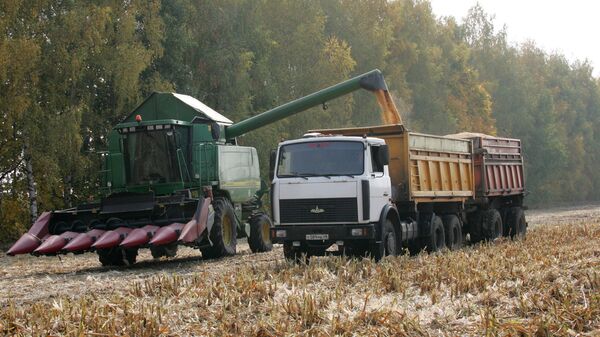 Уборка кукурузы на полях  Липецкой области