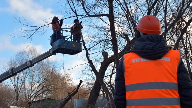Сотрудники коммунальных служб обрезают деревья в районе Ново-Переделкино