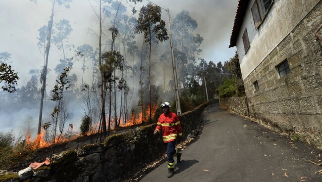 Пожарный на тушении лесных пожаров рядом с Барселуш